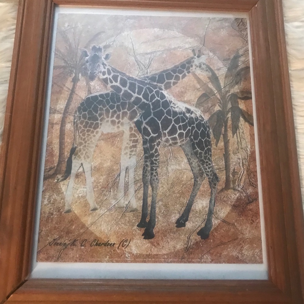 Safari/Giraffe Picture